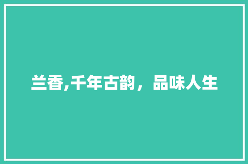 兰香,千年古韵，品味人生