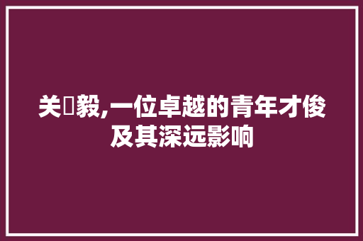 关淏毅,一位卓越的青年才俊及其深远影响