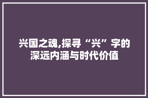 兴国之魂,探寻“兴”字的深远内涵与时代价值