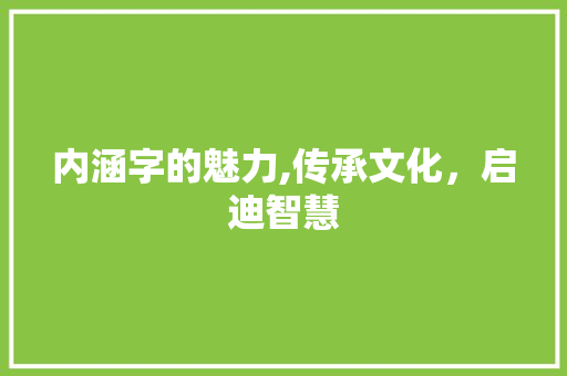 内涵字的魅力,传承文化，启迪智慧