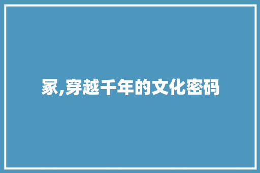 冢,穿越千年的文化密码