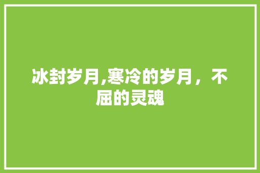 冰封岁月,寒冷的岁月，不屈的灵魂