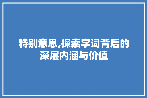 特别意思,探索字词背后的深层内涵与价值