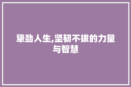 犟劲人生,坚韧不拔的力量与智慧
