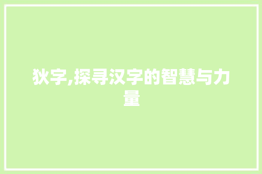 狄字,探寻汉字的智慧与力量