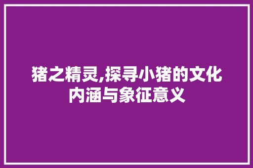 猪之精灵,探寻小猪的文化内涵与象征意义