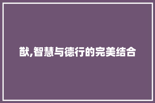 猷,智慧与德行的完美结合