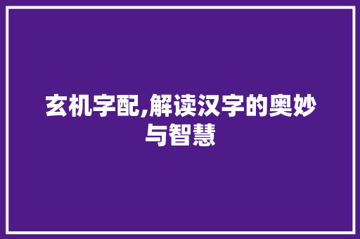 玄机字配,解读汉字的奥妙与智慧