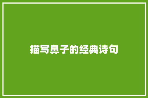 描写鼻子的经典诗句