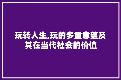 玩转人生,玩的多重意蕴及其在当代社会的价值 范文参考