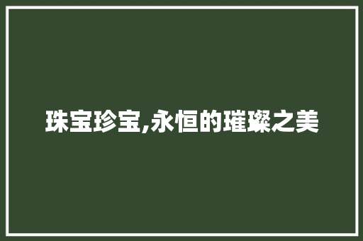 珠宝珍宝,永恒的璀璨之美