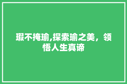 瑕不掩瑜,探索瑜之美，领悟人生真谛