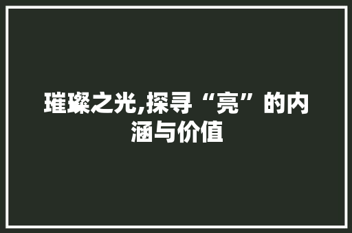 璀璨之光,探寻“亮”的内涵与价值