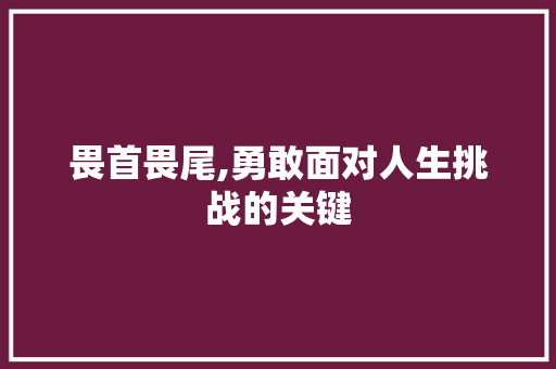 畏首畏尾,勇敢面对人生挑战的关键