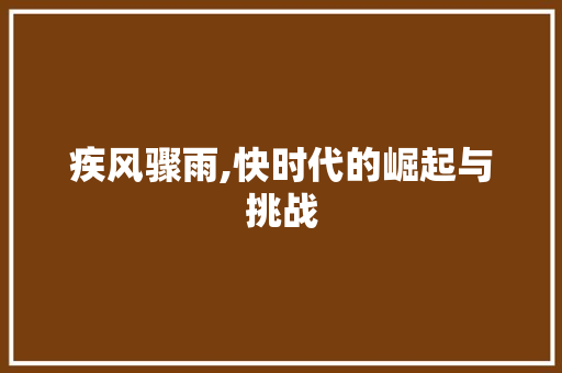 疾风骤雨,快时代的崛起与挑战