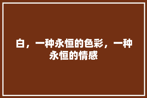 白，一种永恒的色彩，一种永恒的情感