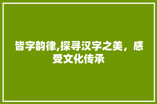 皆字韵律,探寻汉字之美，感受文化传承