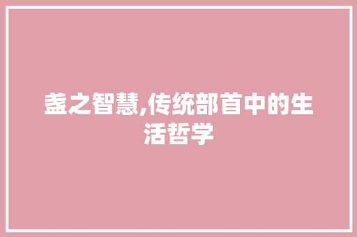 盏之智慧,传统部首中的生活哲学