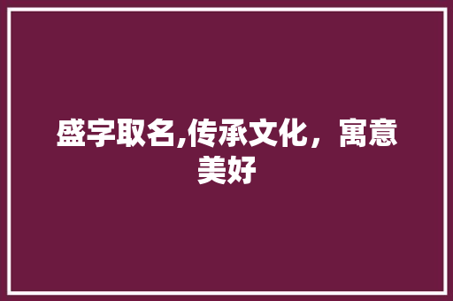 盛字取名,传承文化，寓意美好