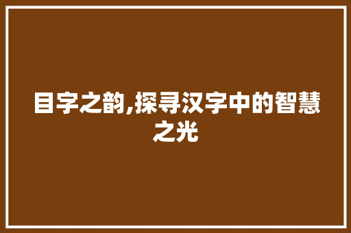 目字之韵,探寻汉字中的智慧之光