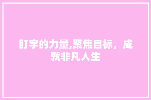 盯字的力量,聚焦目标，成就非凡人生