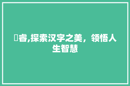 盺睿,探索汉字之美，领悟人生智慧