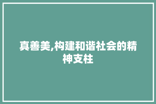 真善美,构建和谐社会的精神支柱