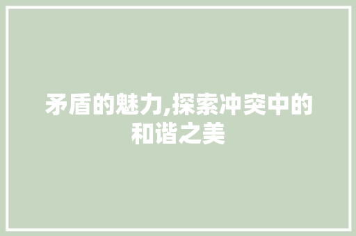 矛盾的魅力,探索冲突中的和谐之美
