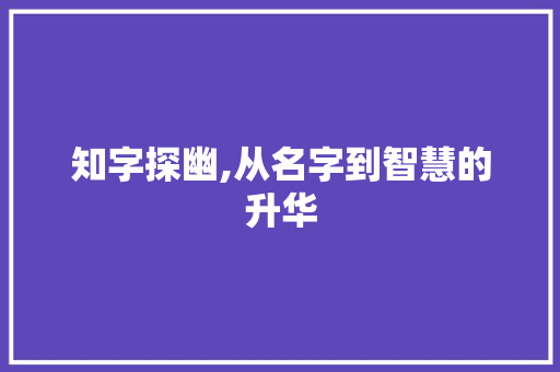知字探幽,从名字到智慧的升华
