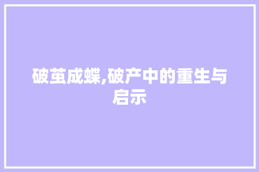 破茧成蝶,破产中的重生与启示