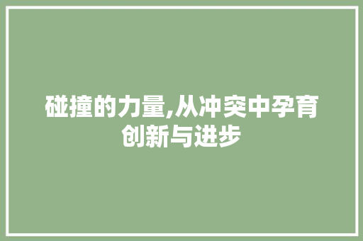 碰撞的力量,从冲突中孕育创新与进步