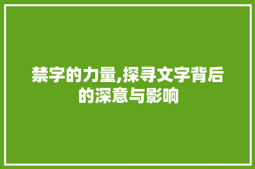 禁字的力量,探寻文字背后的深意与影响
