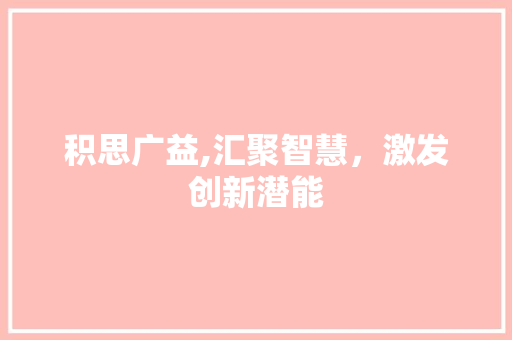 积思广益,汇聚智慧，激发创新潜能