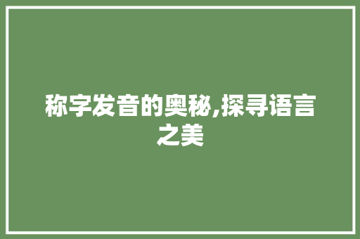 称字发音的奥秘,探寻语言之美