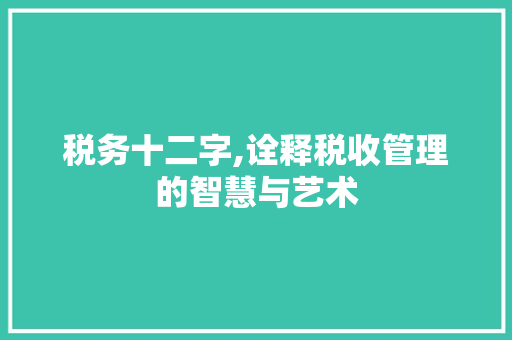 税务十二字,诠释税收管理的智慧与艺术
