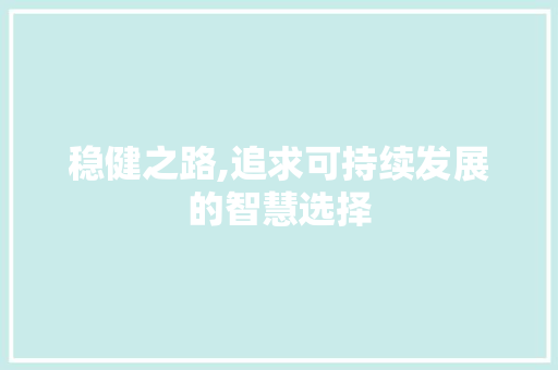 稳健之路,追求可持续发展的智慧选择