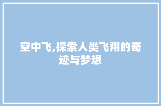 空中飞,探索人类飞翔的奇迹与梦想