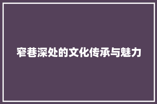 窄巷深处的文化传承与魅力
