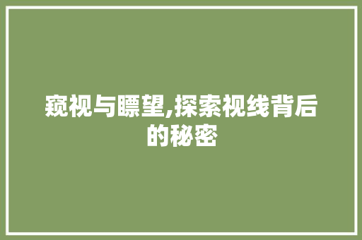 窥视与瞟望,探索视线背后的秘密