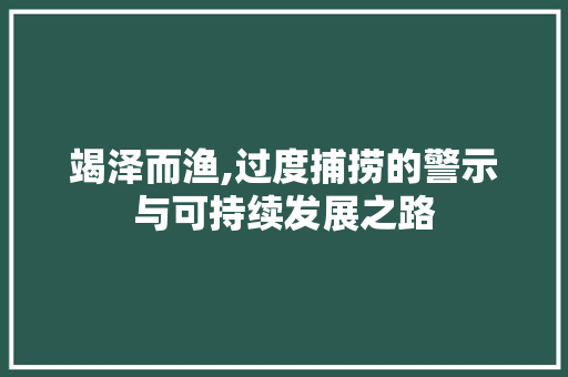 竭泽而渔,过度捕捞的警示与可持续发展之路