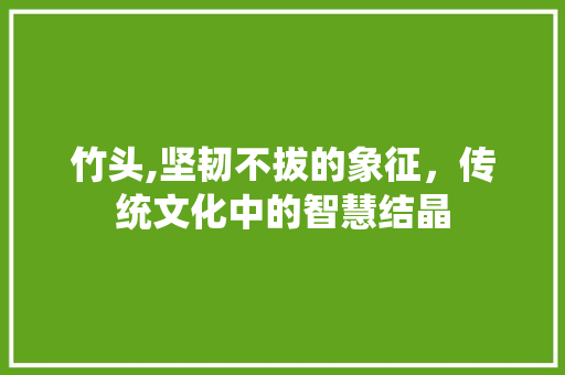 竹头,坚韧不拔的象征，传统文化中的智慧结晶