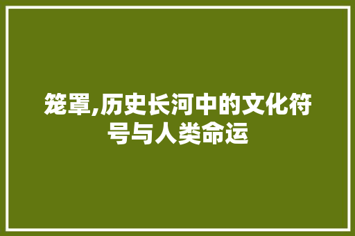 笼罩,历史长河中的文化符号与人类命运