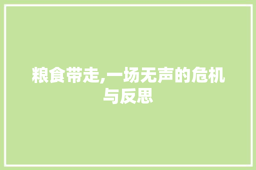 粮食带走,一场无声的危机与反思