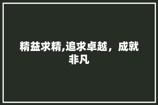 精益求精,追求卓越，成就非凡
