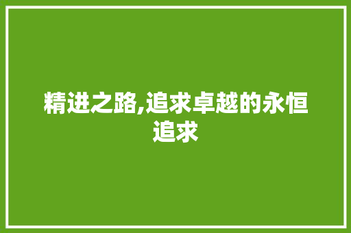 精进之路,追求卓越的永恒追求