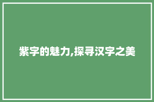 紫字的魅力,探寻汉字之美