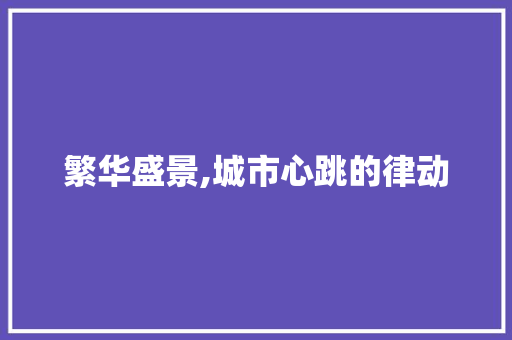繁华盛景,城市心跳的律动
