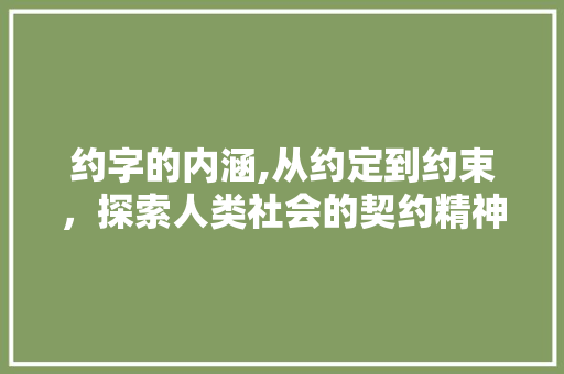 约字的内涵,从约定到约束，探索人类社会的契约精神
