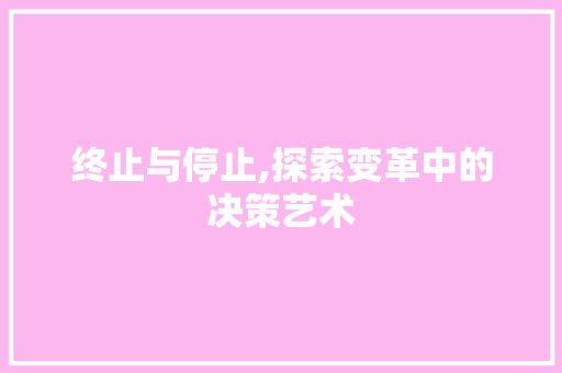 终止与停止,探索变革中的决策艺术