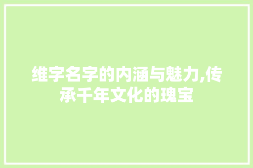 维字名字的内涵与魅力,传承千年文化的瑰宝